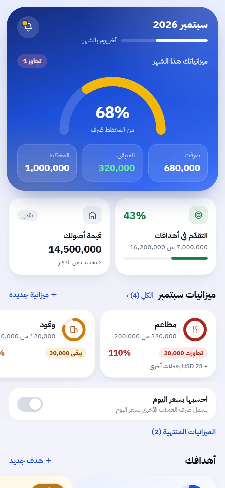 Planning: budgets and goal progress